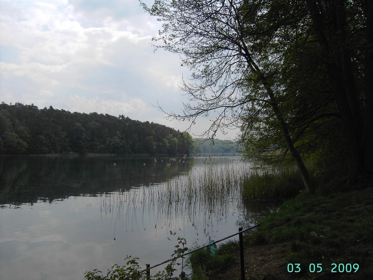 Ferienwohnung Luzinblick Feldberger Seenlandschaft Екстериор снимка